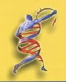 il DNA ha una forma a doppia elica