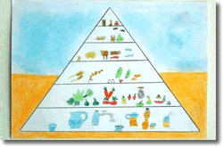 Piramide alimentare 1