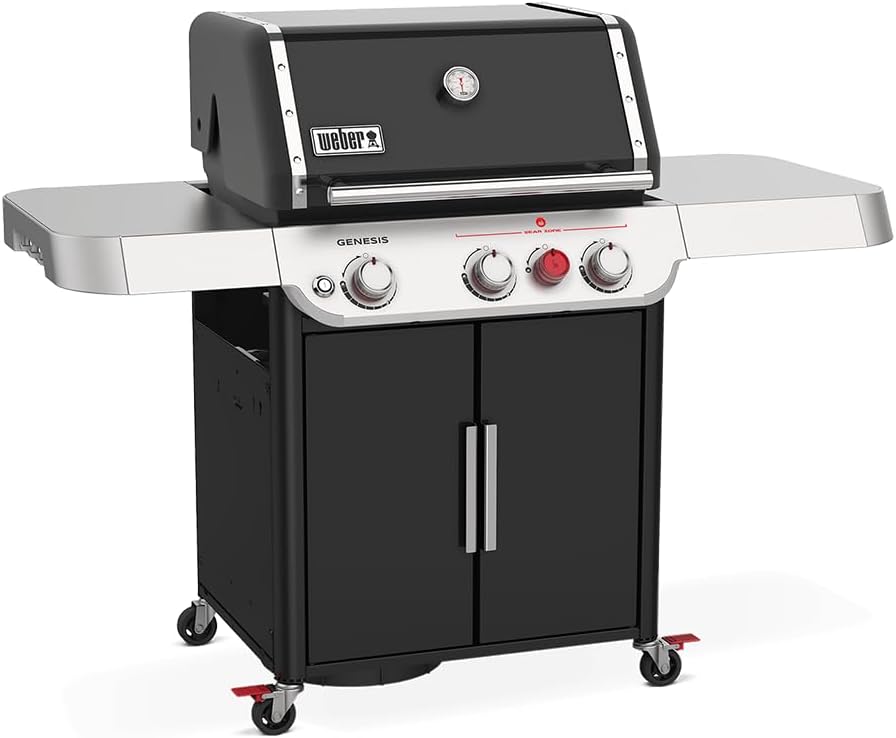 Migliori Barbecue a Gas Weber Migliori Barbecue a Gas Weber