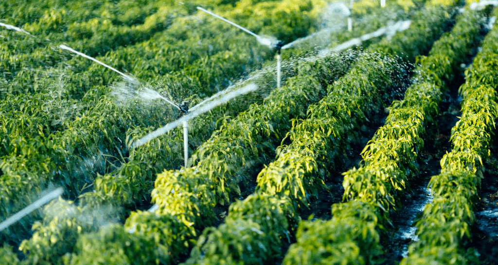 Sistemi di irrigazione smart: un giardino perfetto senza sprechi d'acqua