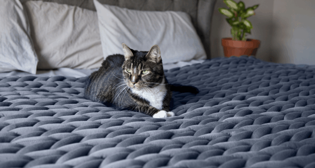 Come scegliere una coperta ponderata?