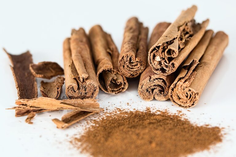 Guida Facile per Scoprire la Cipria Trasparente Perfetta per Te